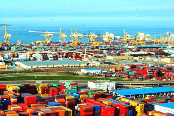 ����͑�����