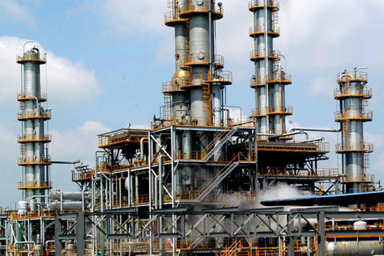 ����͑�����