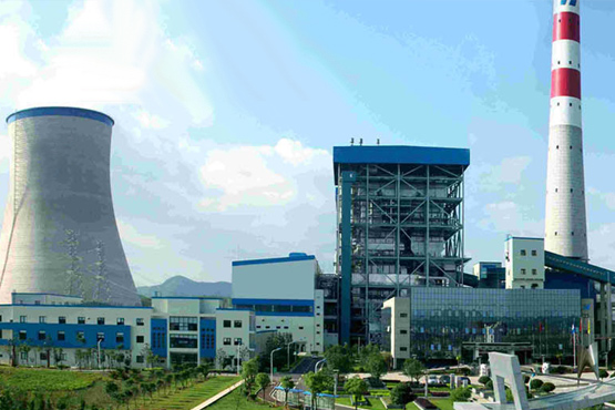 ����͑�����